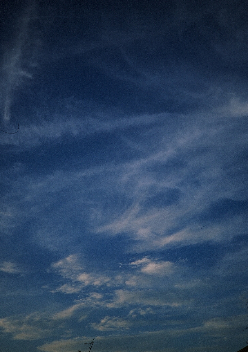 写真20